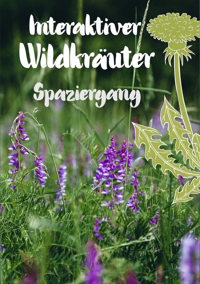 Wildkrauter_Spaziergang-1.jpg